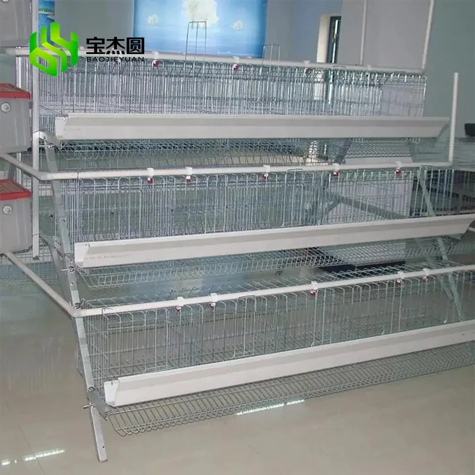 Poultry Farm Galvanized Egg Laying Hens Baterry Layer Automatic Chicken Cage