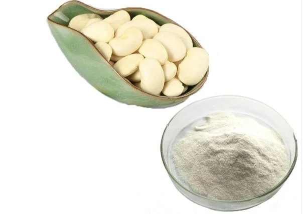 Extrato vegetal de qualidade superior extracto de feijão branco de rim para emagrecimento/peso Perda