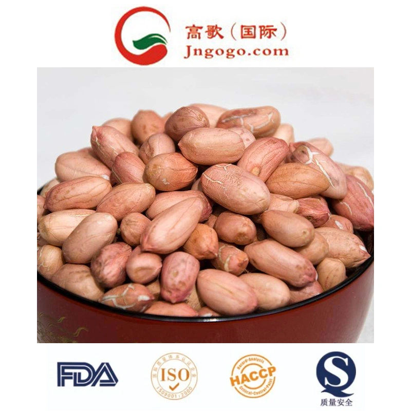 New Crop Red Skin Peanut Kernel Peanut in Shell