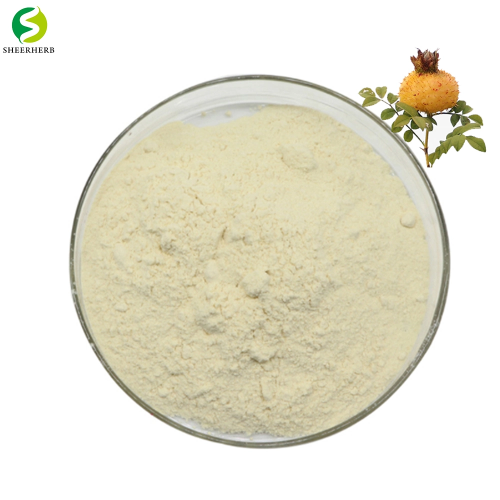 Bulk Sale Best High quality/High cost performance  Rosa Roxburghii Extract Powder Best Rosa Roxburghii Extract