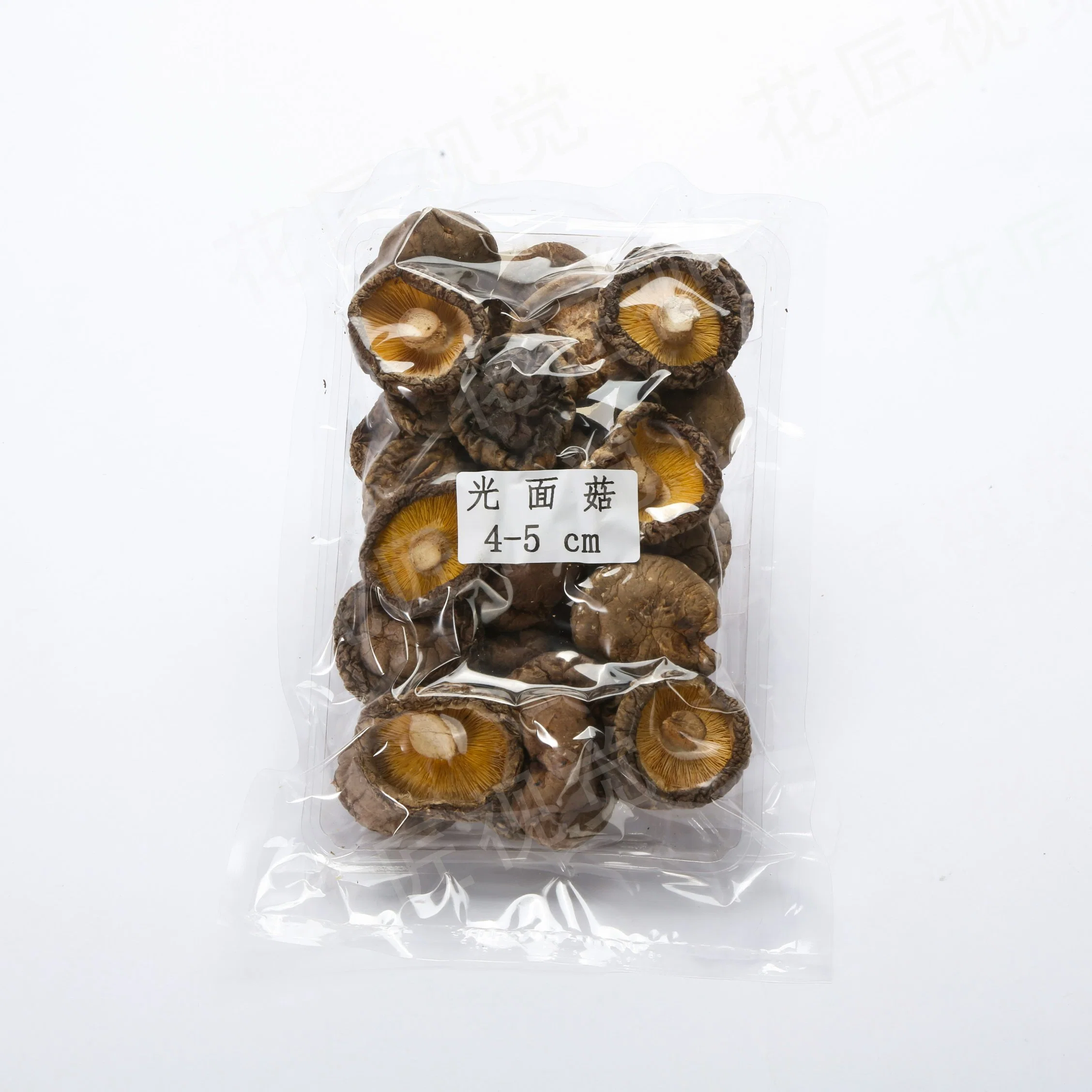 Günstige Preise Shiitake Pilze mit glatter Oberfläche