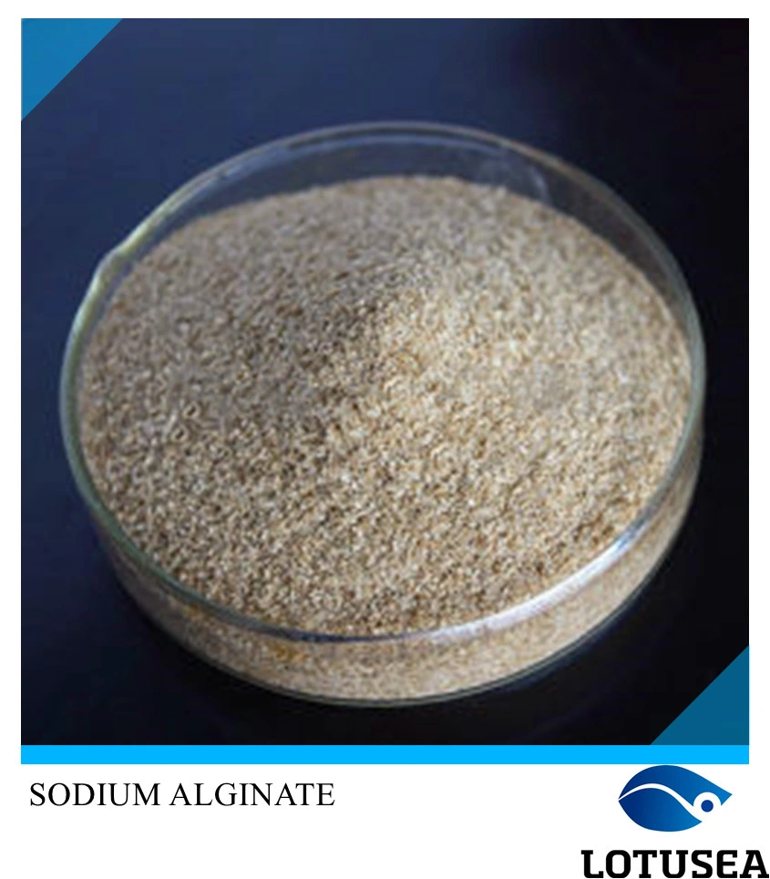 Lotusea Sodium Alginate 100mesh 3500cps for Textile Use