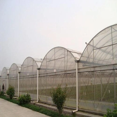 Low Price UV Film Tunnel Economic Multi Span Poly Farm Agriculture Greenhouse