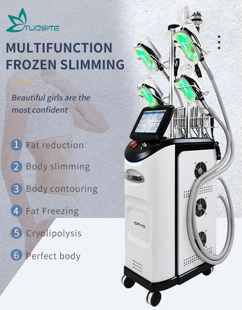 360 Degree Cryolipolysis Body Sculpting Fat Freezing Beauty Machine