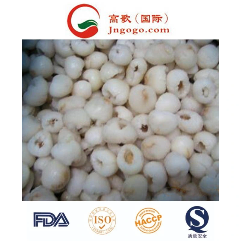 Whole Sale IQF Frozen Litchi and Frozen Fruits