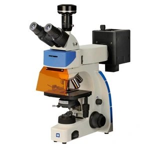 Digital Trinocular Fluorescence Microscope (LF-302)