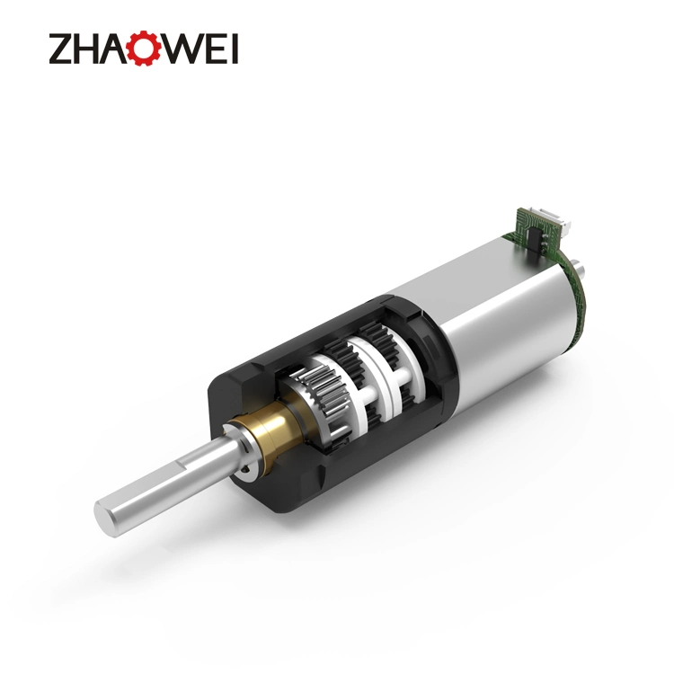 Zhaowei High Torque Low Rpm 12mm DC Gear Motor 12V 24V Electric Motor with Worm Gearbox for Smart Lock