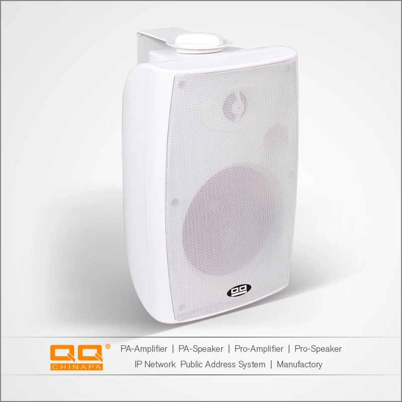 Lbg-5085 30W 8ohms High quality/High cost performance  PA PRO Audio Speaker