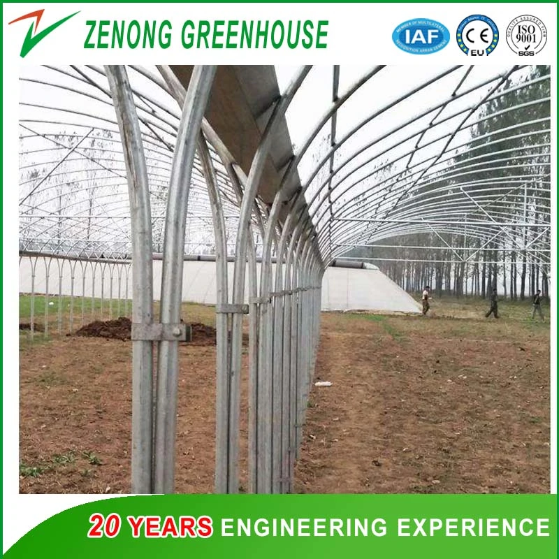 Good Quality Plastic Film Green House with Galvanized Standing Pillar for Sale