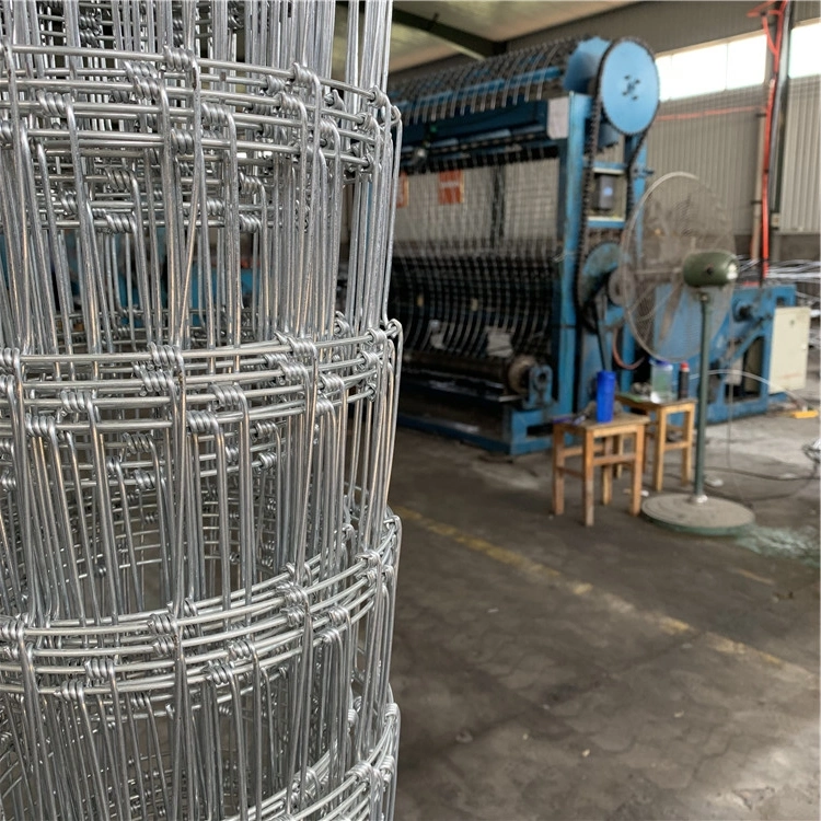 Shunze Galvanized Feild Fence Grassland Wire Mesh Fence Cattle / Sheep / Field / Deer Farm Fence