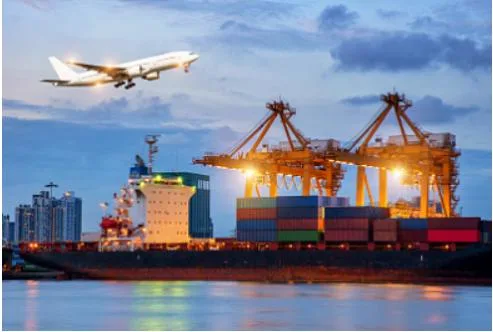 Full Range Sea Freight Shipping From China with Quick Operation