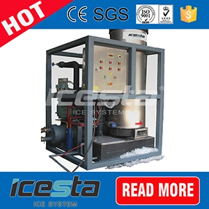 La refrigeración 20t/máquina de hielo de tubo de 24hrs Fábrica de Hielo