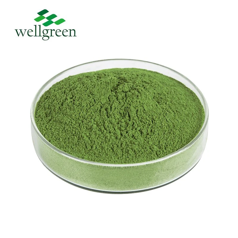 Alfalfa Extract 5% Flavonoids Alfalfa Extract Powder Animal Feed Afalfa Powder