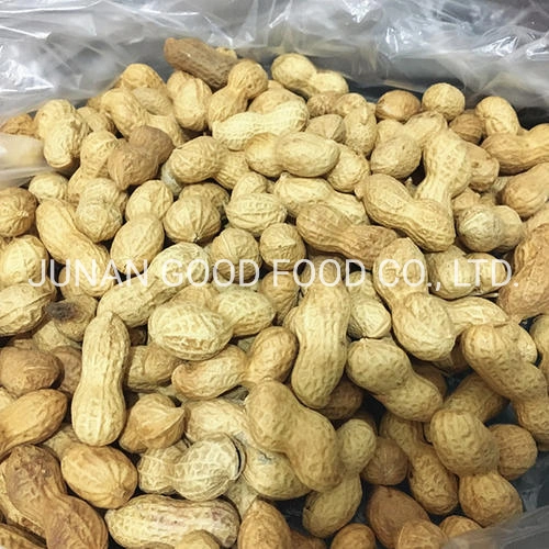 Sturdy Shell Raw Peanuts / Roasted Peanuts