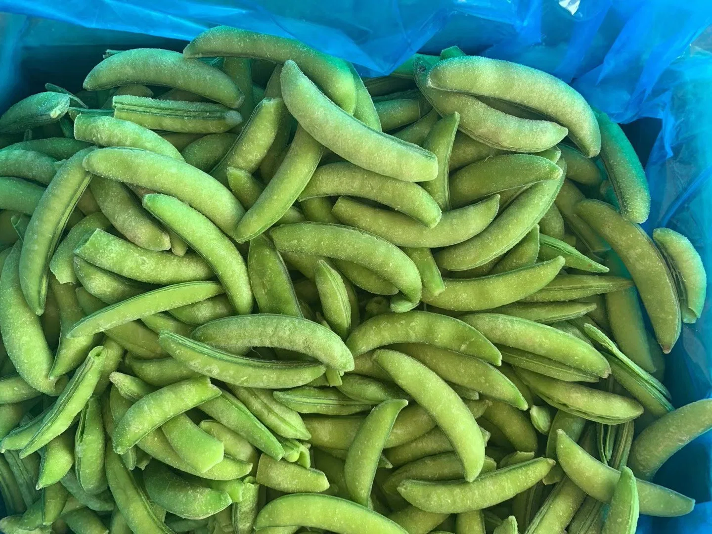 Aliments surgelés IQF pois écossés Edamame ensemble de la Chine usine