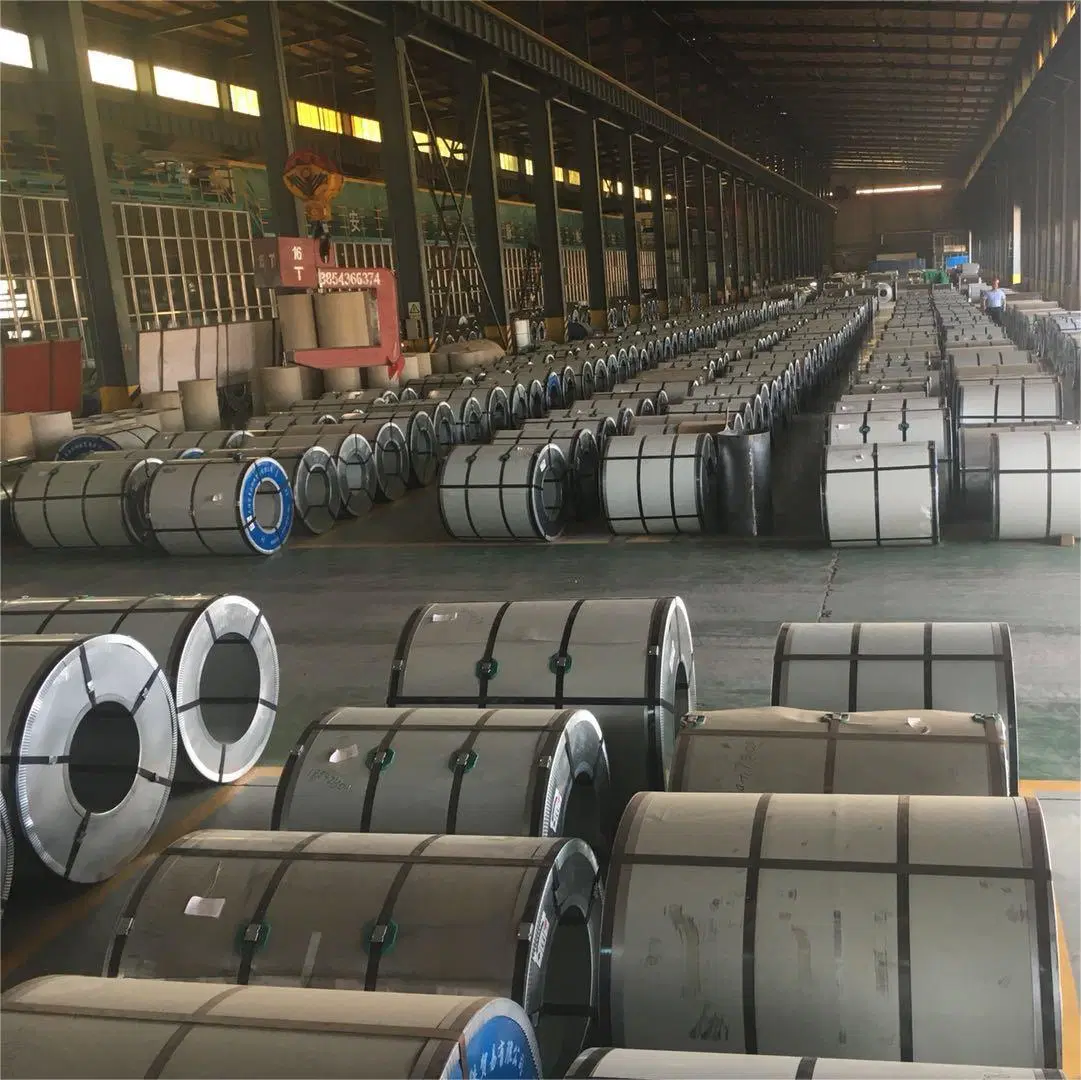 Building Materials PPGI White Gray Sea Blue Color-Coated Galvanized Steel Coil