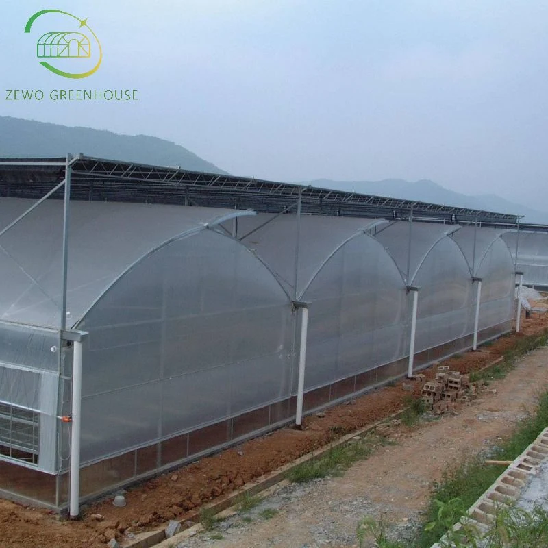 Serre agricole moderne Multi-Span Arch à faible coût avec ombrage externe Système de culture des semis