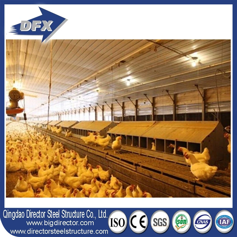 China Günstige Stahlstruktur Warehouse Cowshed Hühnerhaus Schicht Ei Hühnerkäfig Broiler Geflügelfarm Haus Fütterung für Geflügelfarm Haus