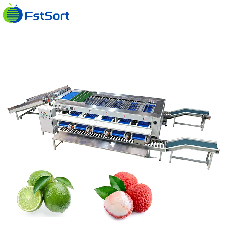 Fstsort Factory Price Olive Sorting Grading Machine Fruit Sorter Grader/ Lychee Grading Classifying Machine/ Olive Caper Grading Sorting Machine