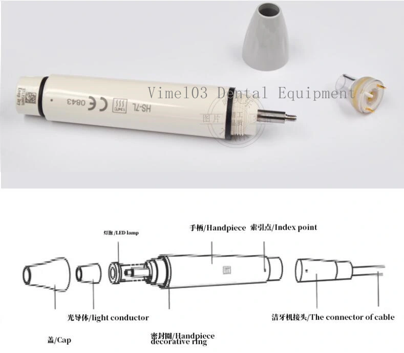 Lumière LED dentaire piézo ultrasonique Scaler Handpiece compatible avec HD Woodpcker ETTD-7L