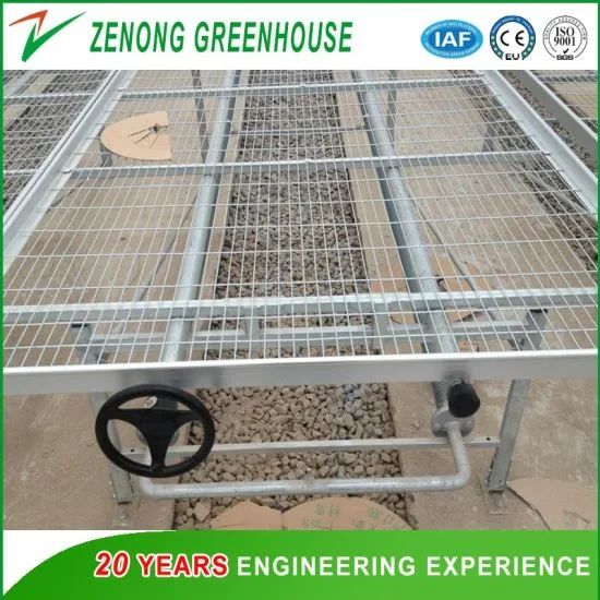 Easy to Operation Greenhouse Movable Seedling Bed for Grow Seedlings