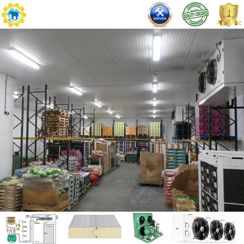 Restaurant Food Storage Deep Freezer Cold Room/Commercial Walk-in Freezer/Compressor Freezer Room