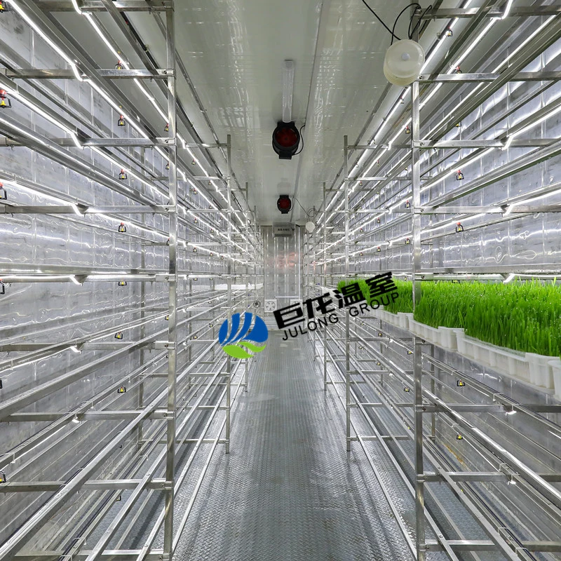 Recipiente de cultivo de alimentos LED recipiente para forragem animal, hidroponia solar automatizada Equipamento agrícola