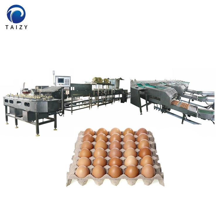 20000PCS/H Egg Grader Egg Sorter Packer Machine Egg Grading Machine