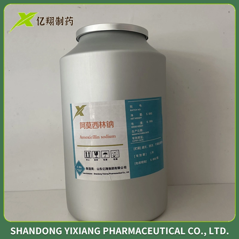 Durg Поставщик Китая GMP Amoxicillin Sodium антибиотик Amoxicillin Sodium Ветеринарная медицина для инъекций 0,25 г 0,5 г 1,0 г.