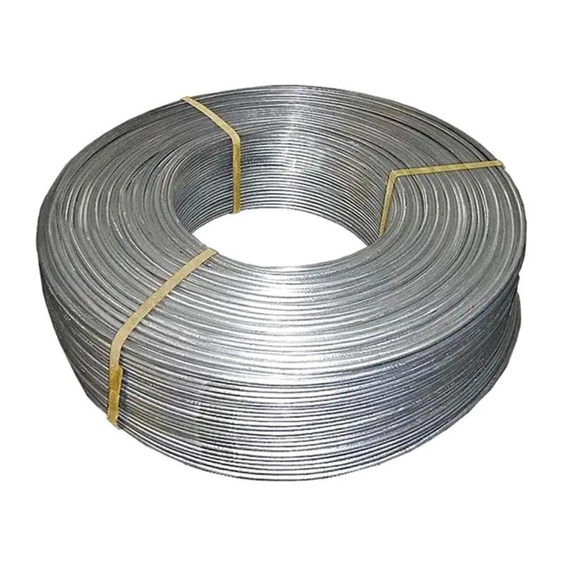 Ms Steel Wire Rod in Coils Price Per Mt for Drawing