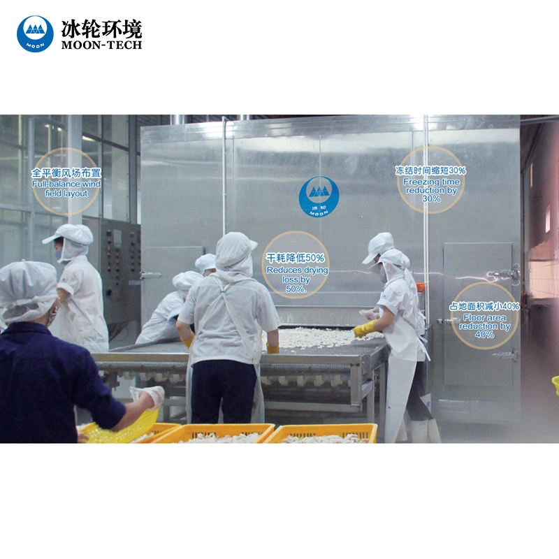 Industrial Rapid Freezing Tunnel Freezer