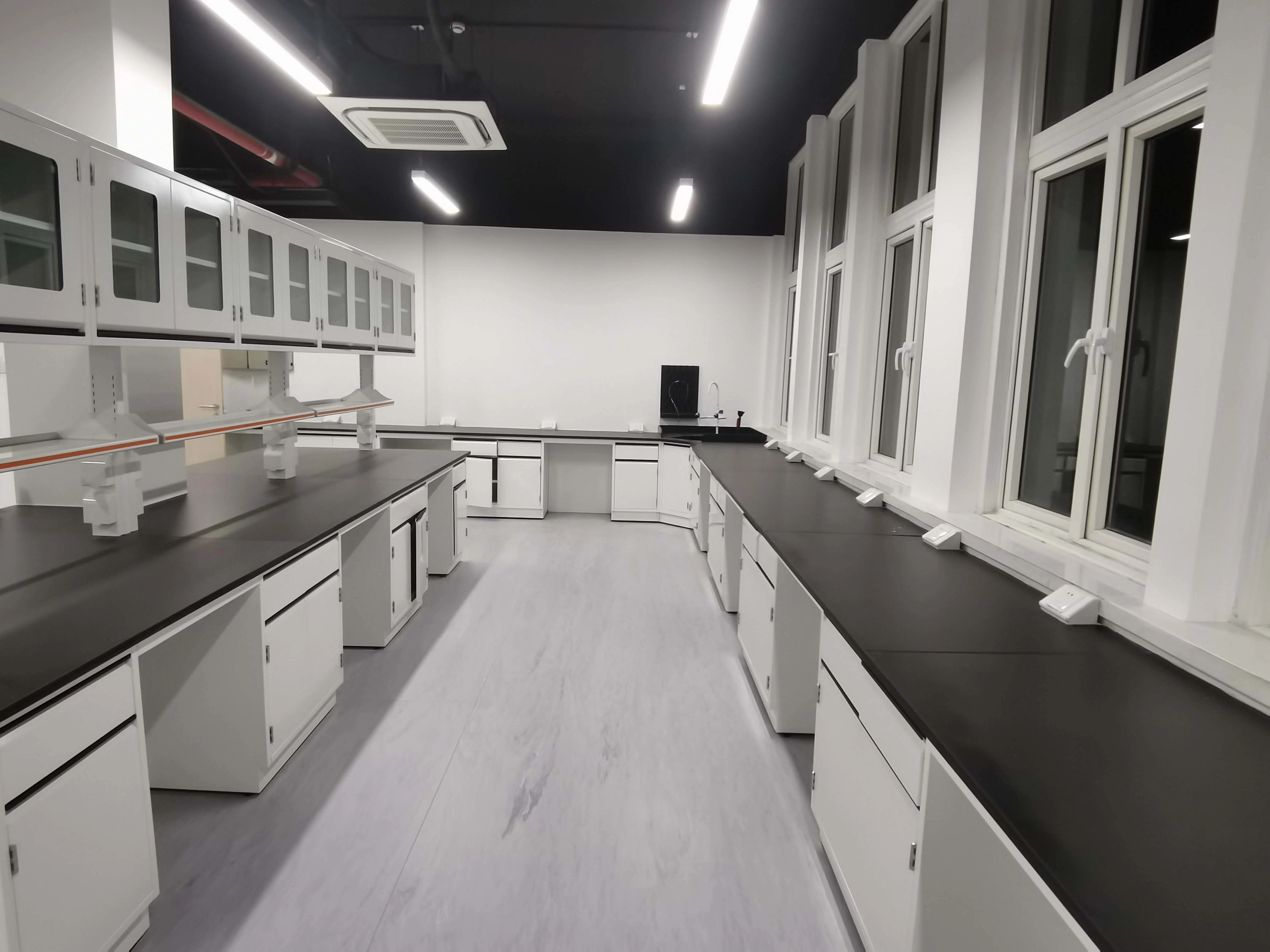 Laboratory Furniture Equipment for Fume Hood for Free Furniture Decoration Lab Design