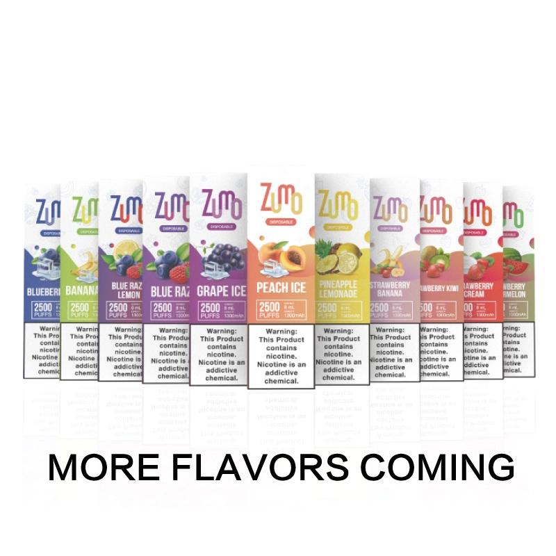 Best-Selling Fashionable and Portable 2500 Puffs Disposable/Chargeable Vape E Cigarettes 11 Flavors in Stock