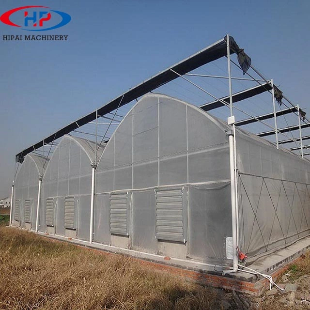 Steel Frame Greenhouse for Vegetable Growing