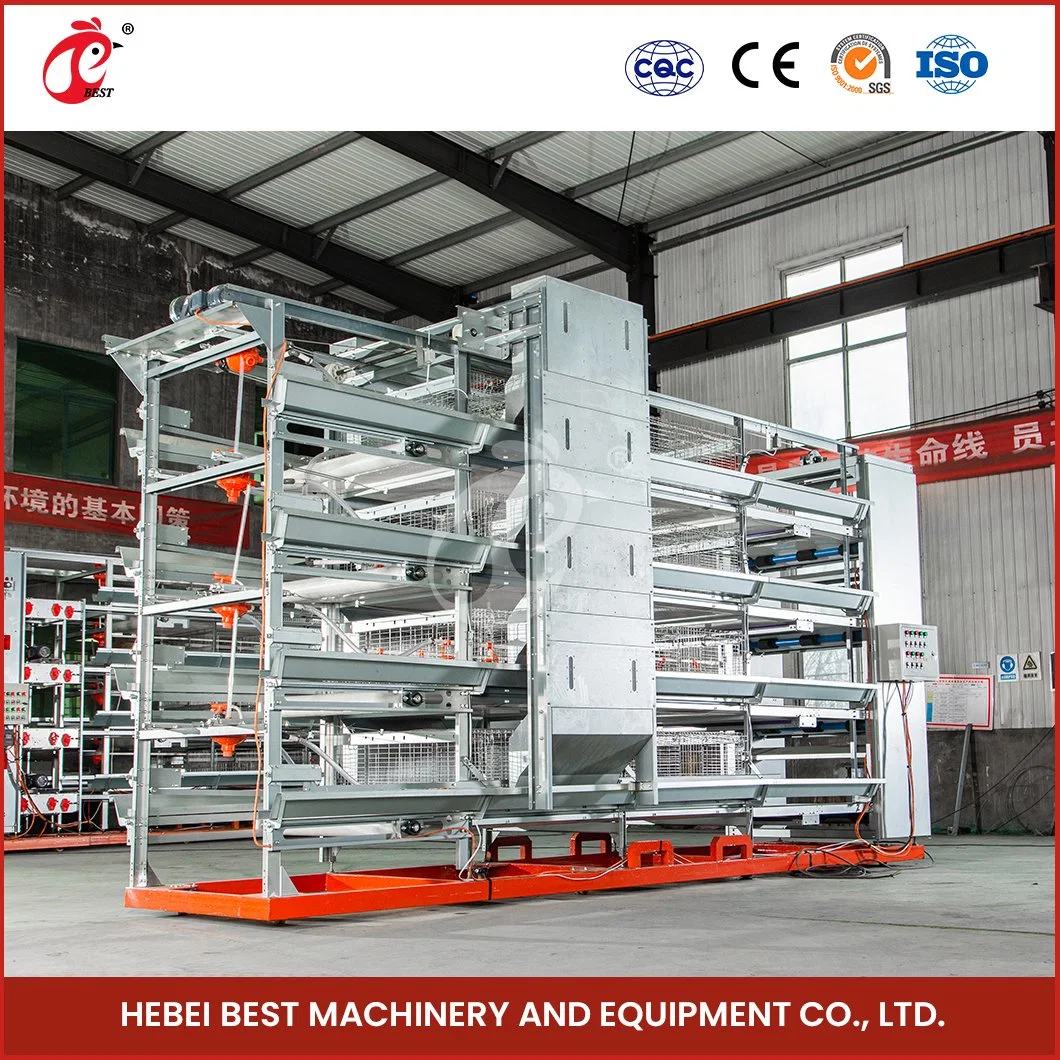 Bestchickencage H Frame Broiler Cages China Small Chicken Coop Manufacturing Light Steel Material Design Broiler Cages