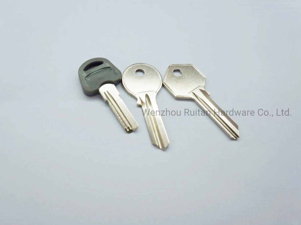 Blank Key for Customizing Accdording to Customers Used for Door