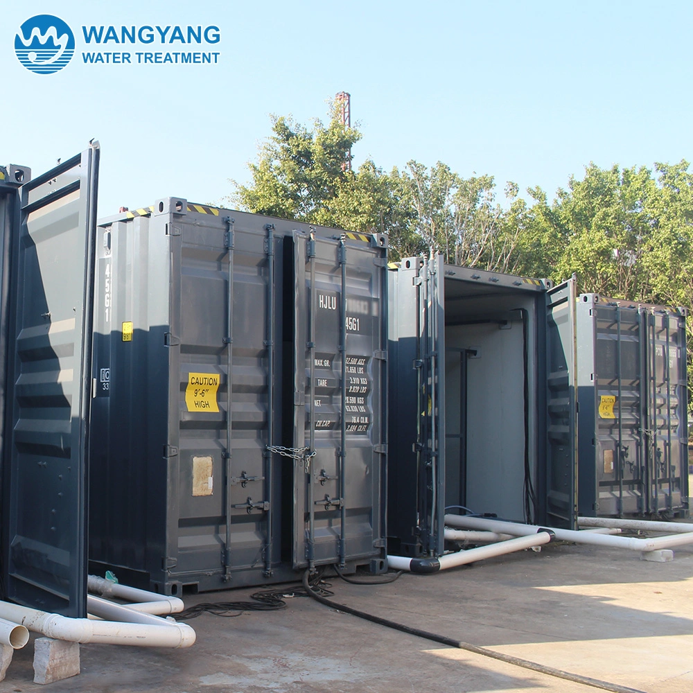 Malaysia 720 Cubic Meter Per Day Pure Water Desalination Equipment for Iron Removal