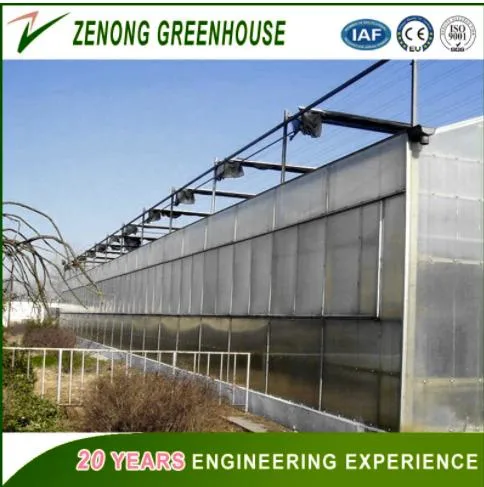 China Hot Sale Greenhouse Covered with PC Board for Exhibition/Seed-Breeding/Flower/Vegetable/Ecological Restaurant/Scientific Research/Garden