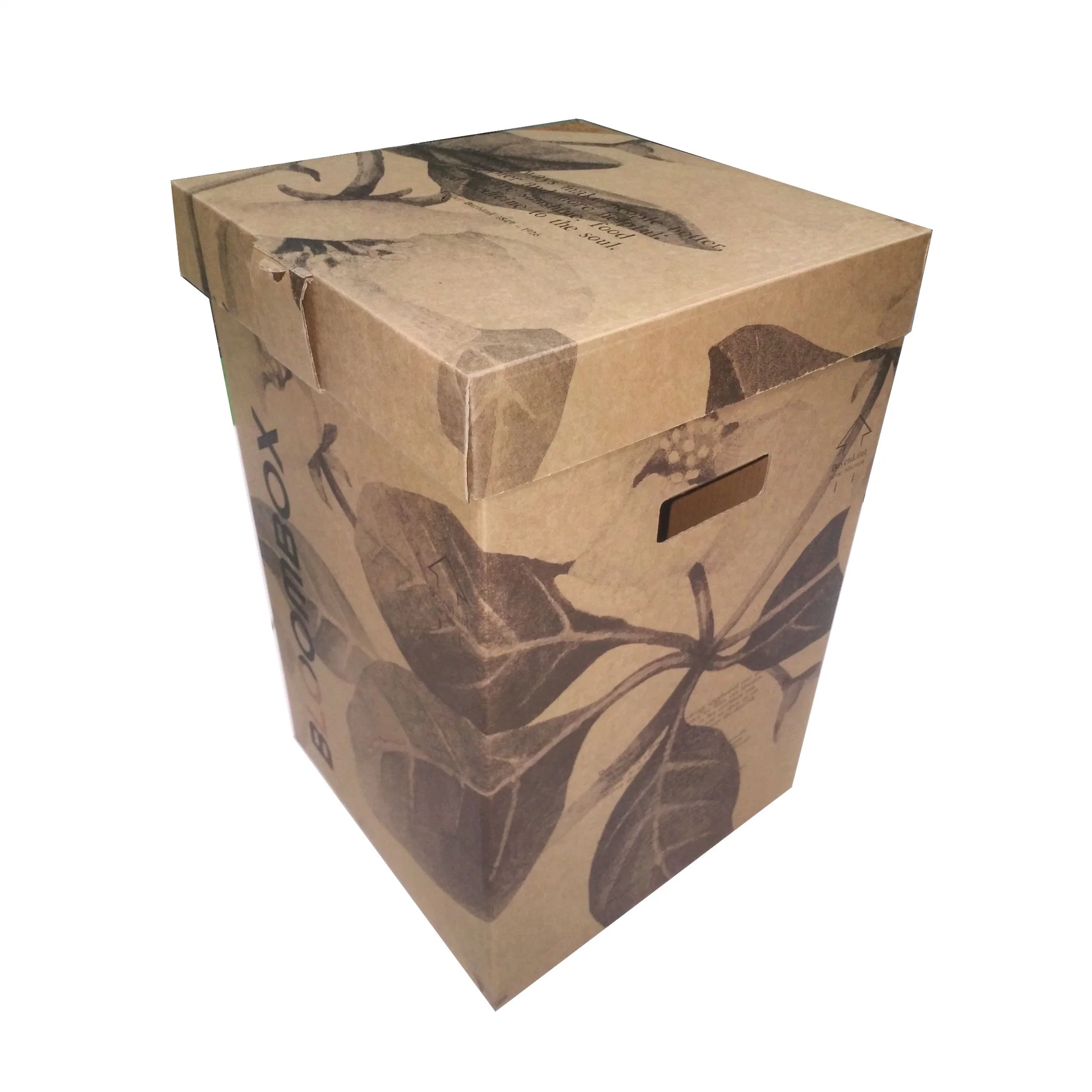 Huge Corrugated Kraft Paper Packing Box with Flower Decoration