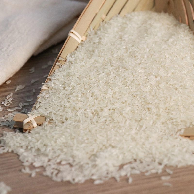 Healthy Rice Substitute for Type 2 Diabetics Gluten Free Shirataki De Konjac Rice