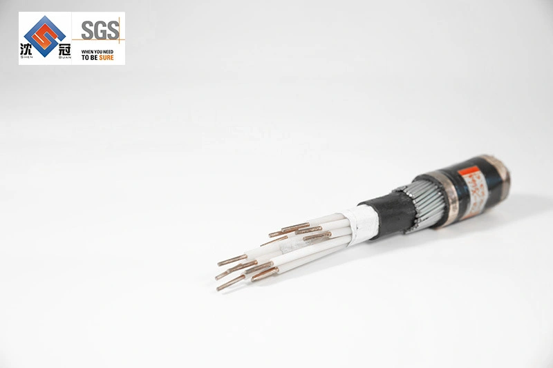 Shenguan 0.6/1kv Testing Computer Instrumentation Cable Single Core Wire AC Power Cord Cable 220V 3.6/6kv 185mm2 Electric Underground Sta Power Cab