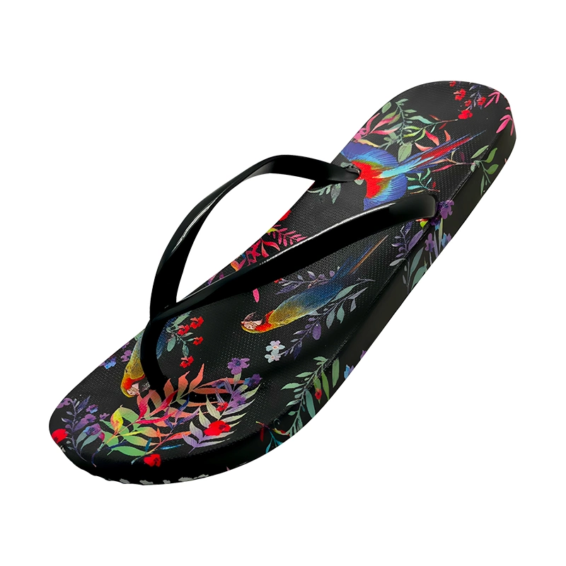 Wholesale/Supplier Ladies Shoes Beach Flip Flop Brand Name Shoes