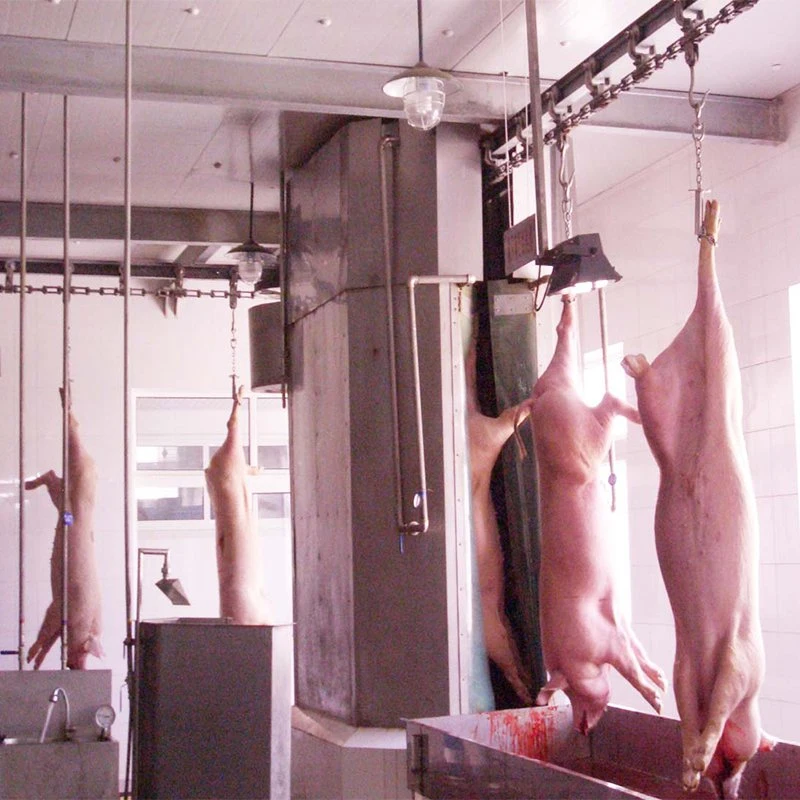 Automatic Pig Slaughtering Line of Pig Carcass Cleaning Washing Machine for Meat Slaughtering Plant