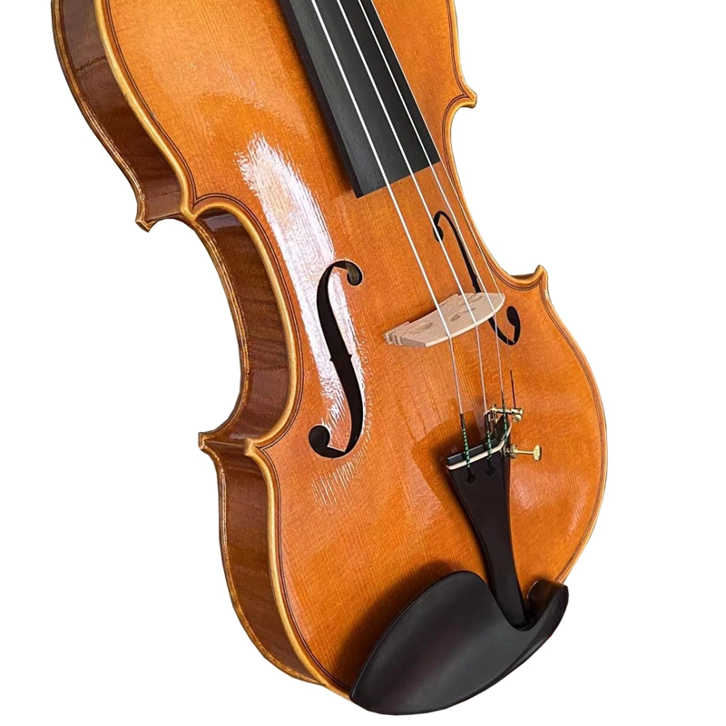 Sinomusik Full Handed Golden Orange Brown Violin Hv09g