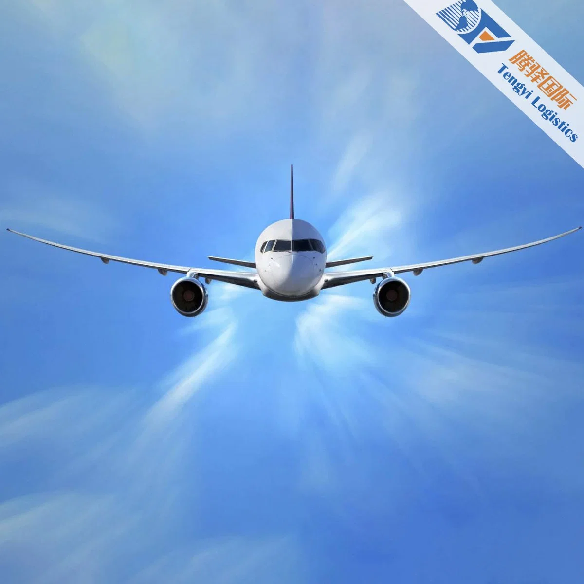 Air Cargo Logistics DDP Services to US/UK/Europe/Germany/France/Nepal Worldwide with Shenzhen Versandstelle