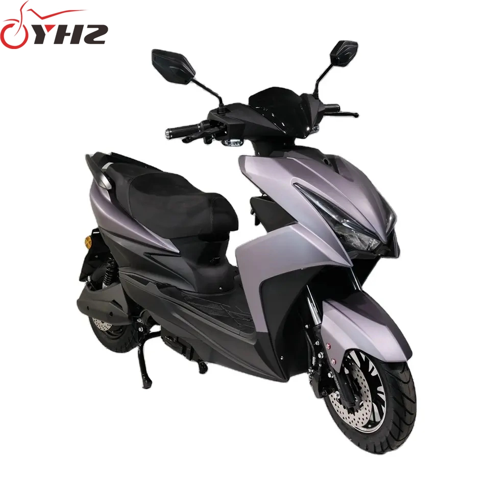 Adult New Product Electric Motorcycle EEC CE 1000W 1500W 2000W Powerful Scooter Road Legal Speed 75km/H Moped European Warehouse in Stock Door to Door Delivery