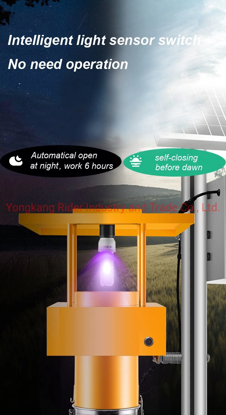 Ultraviolet Light Insect Trap Device for Hotel