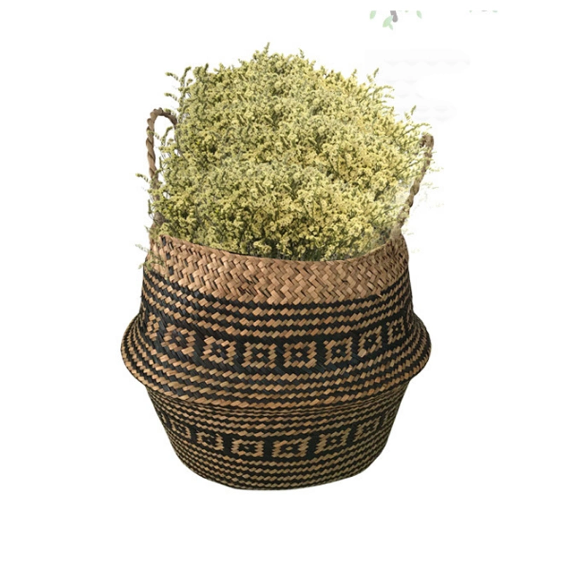 Sea Plant Flower Pot Home Садовый цветочный сажалок Пот