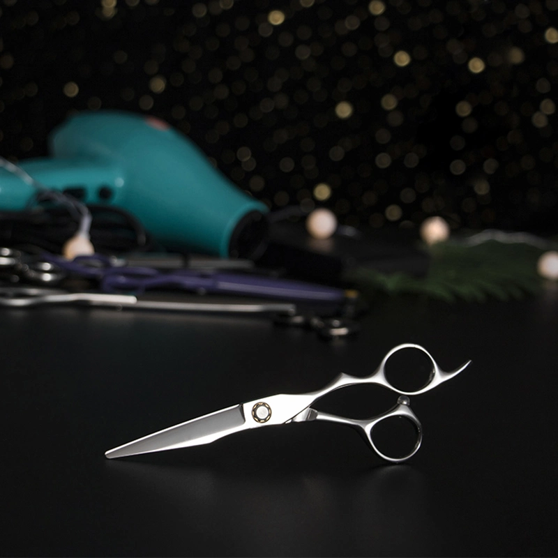 Titanium Coated Hair Scissor / Hair Dressing Scissors Set / Shear Hair Cutting Scissors