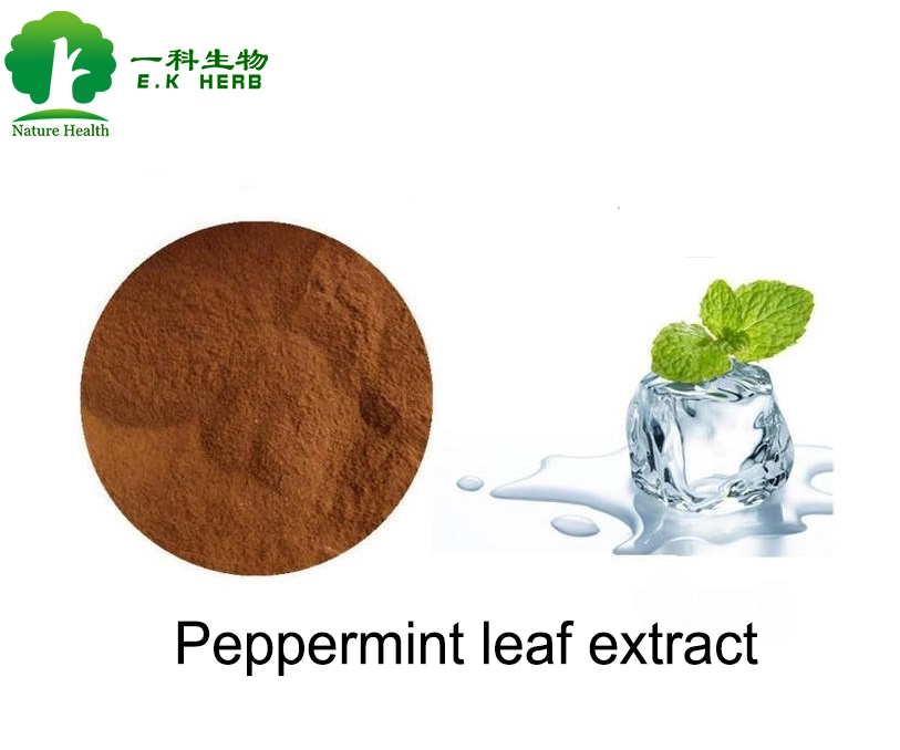 E. K Herb ISO Halal Natural Spearmint Extract Peppermint Extract Mint Extract